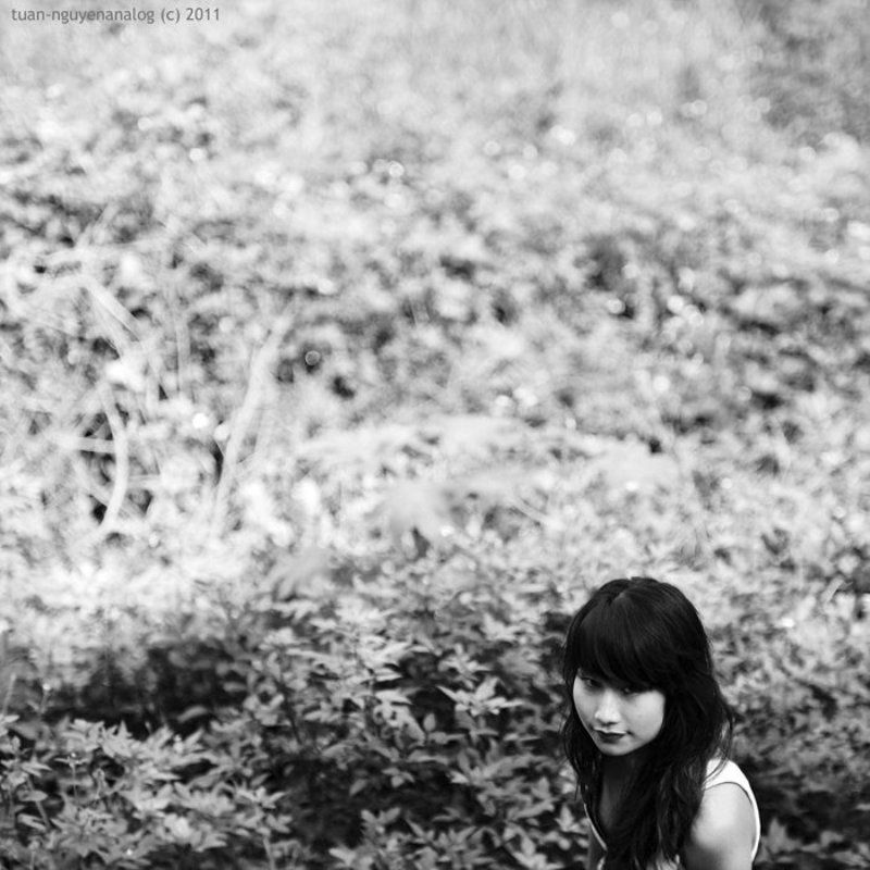 Lady Foxphoto preview