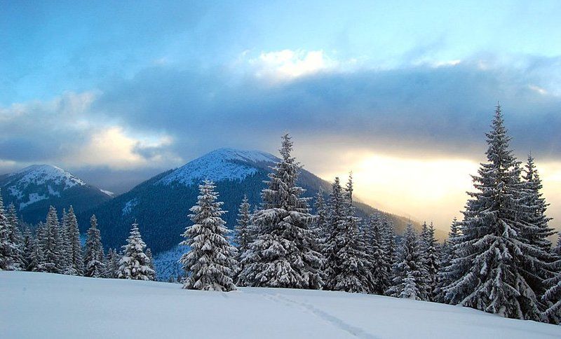 карпати Зимові Ґорґани / Winter in Gorganyphoto preview