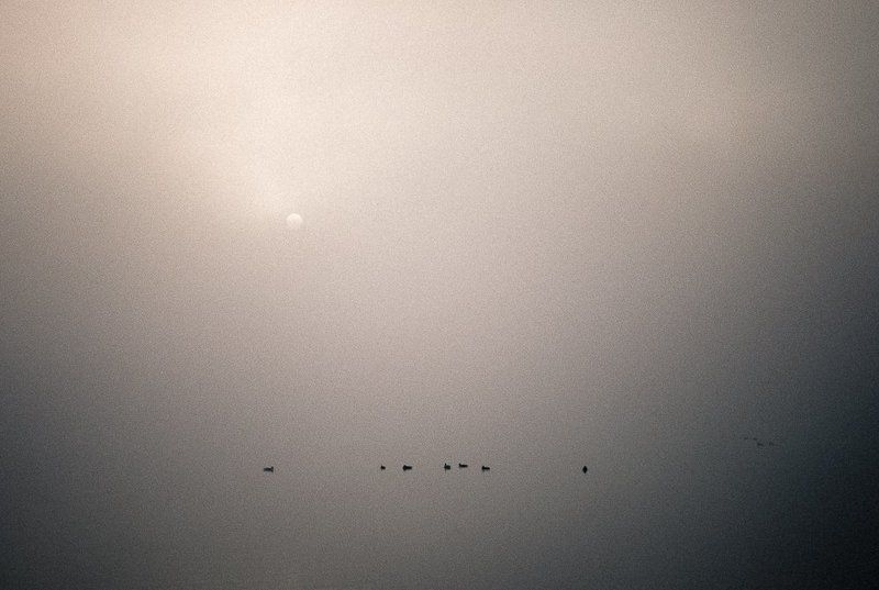 киев,оболонская набережная,днепр,туман,утро,осень, ***photo preview