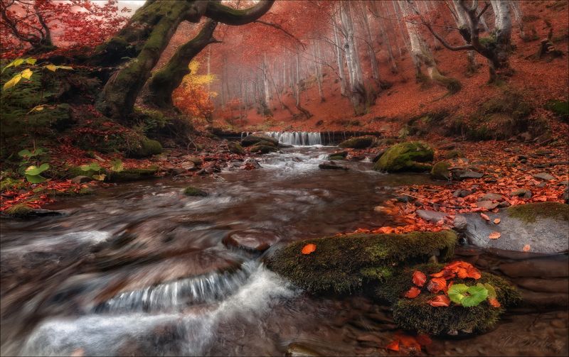 карпаты, украина, осень, горы, водопад, шипот, carpathian mountains, карпаты, водопад, шипот, украина, осень, горы, фототур по карпатам, влад соколовский, phototravel.pro, лумшоры, синевир, каменка, гук, ясиня, лазещина, петрос, говерла, горы, водопады, Осенние Карпаты ..photo preview