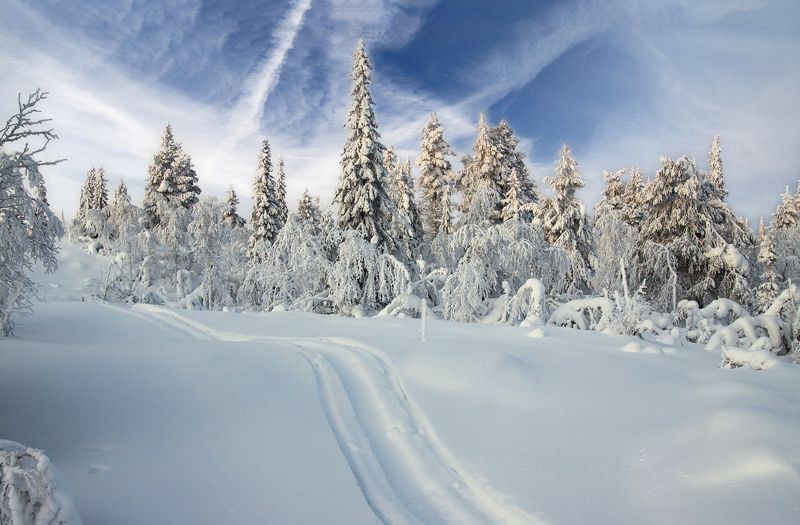 швеция По белому снегуphoto preview