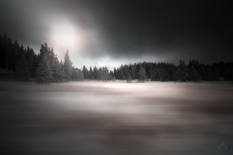 зима, родопы,болгария,сосны,снег Снежная лужайкаphoto preview