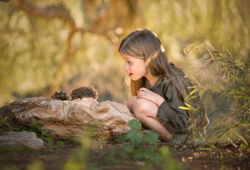 детство, природа, красота, горы, приключения, свет, солнце, деревья, ёж Случайный прохожийphoto preview