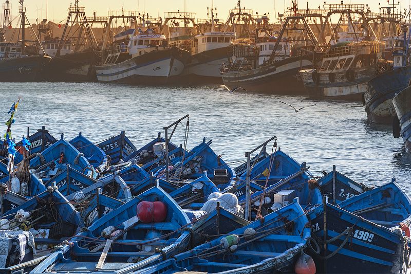 марокко, порт, лодка, эссуэйра, атлантика, рыбак, африка, могадор Противостояниеphoto preview