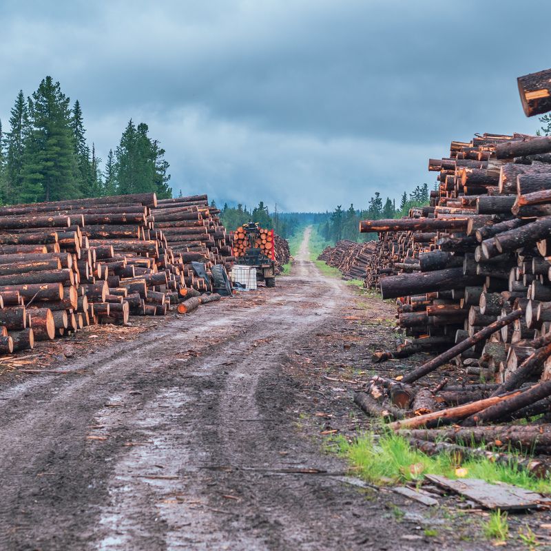 урал, лесорубы Lumberjacks at workphoto preview