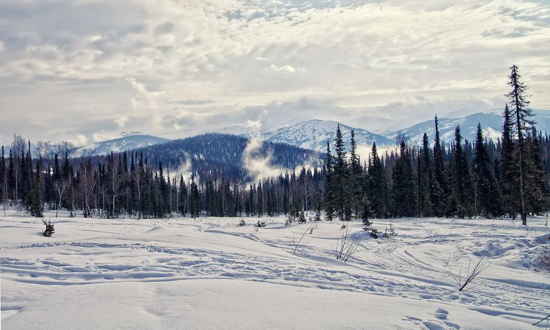 Кузнецкий Алатауphoto preview