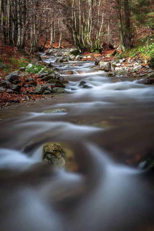 Šutrovski potokphoto preview