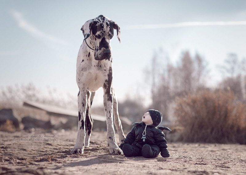 Когда не только деревья были большими ...photo preview