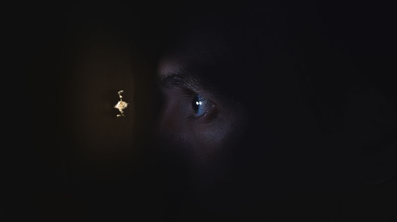 #dervod #drevo #obrazz #severodvinsk Подглядываю за Хичкоком photo preview