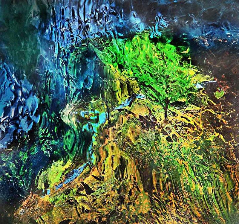 Ореховое деревоphoto preview