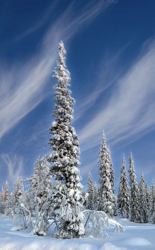 швеция Снежнаяphoto preview