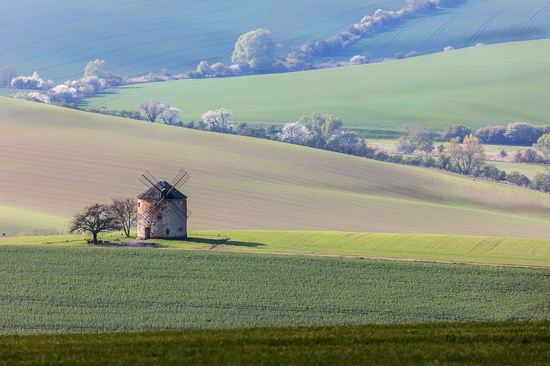 мельница, моравия, весна, поля Старая мельницаphoto preview
