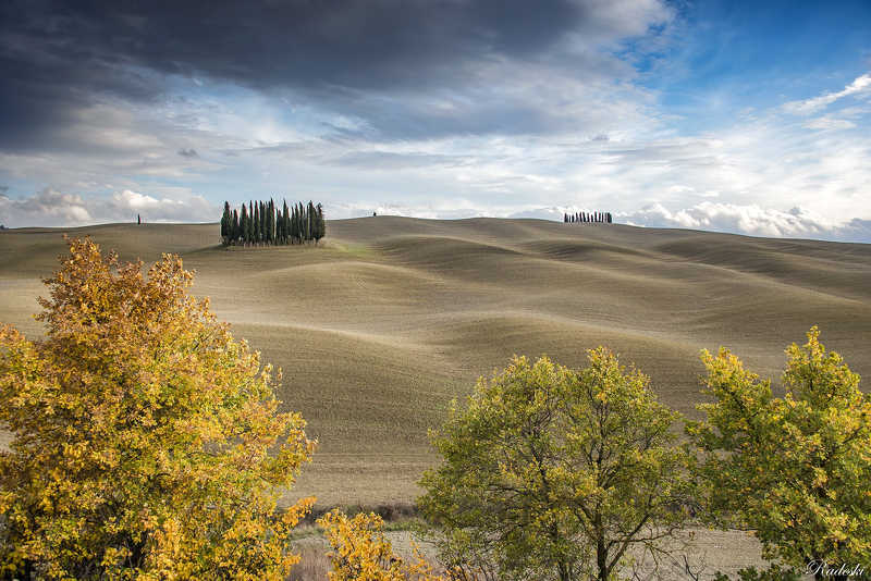 Cipressetophoto preview