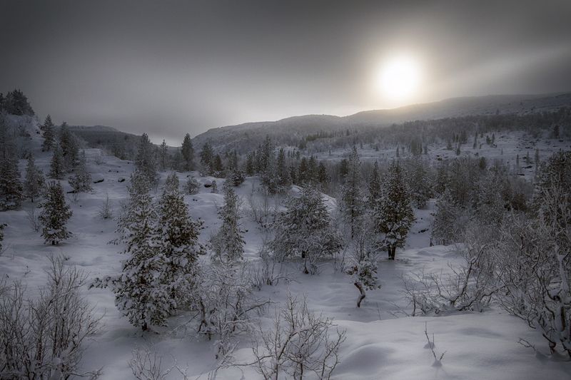 Лунный светphoto preview