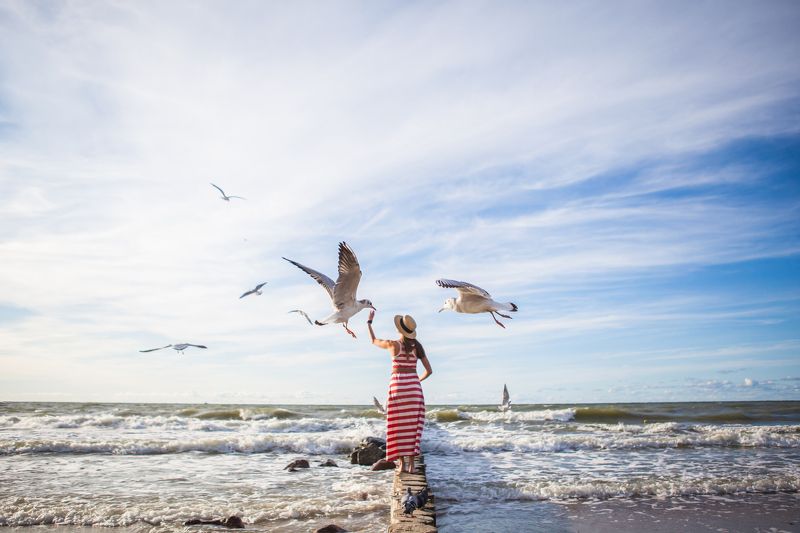 Случайная балтийская историяphoto preview