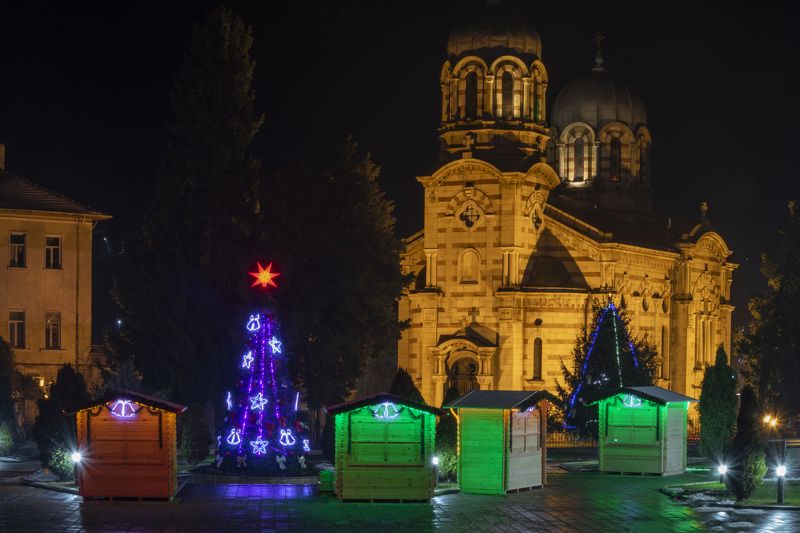 ceclii, nikon d3400 photo preview