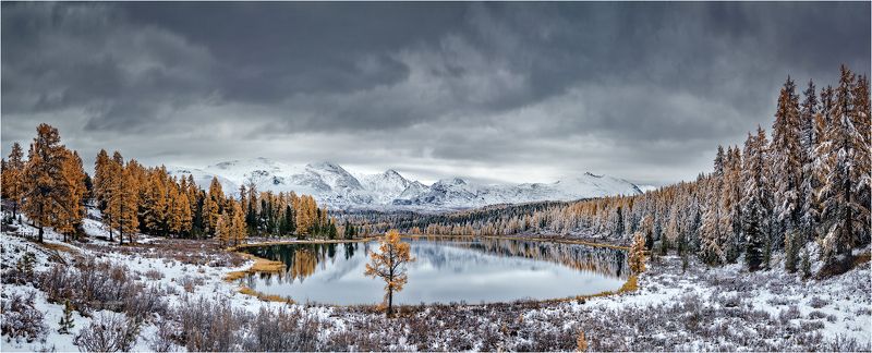 алтай,озеро,осень,золотая,горы,лиственница,вода Алтай.Киделю.photo preview