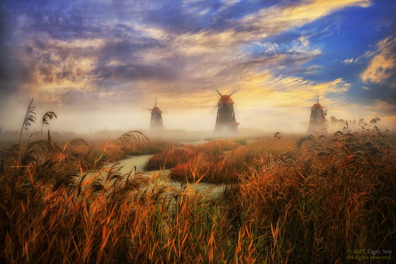 sky windmill autumn forest saltpond fog morning landscape travel cloud Incheon Korea  wonderful morningphoto preview