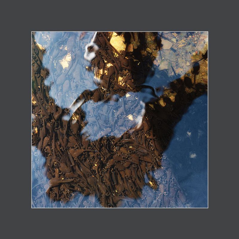 минимализм Abstract naturephoto preview