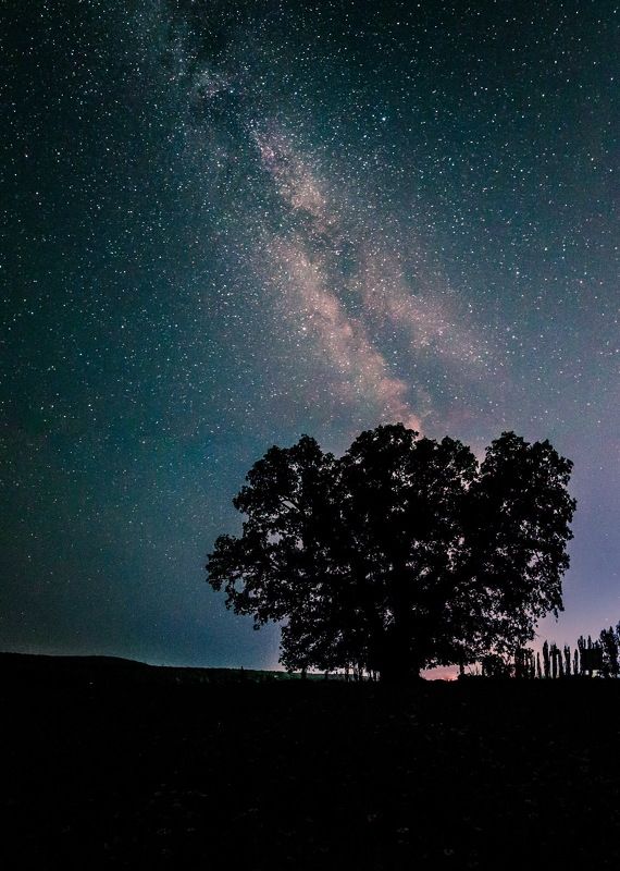 крым, горы, crimea, звезды, ночь, лето, млечныйпуть Суворовский дубphoto preview