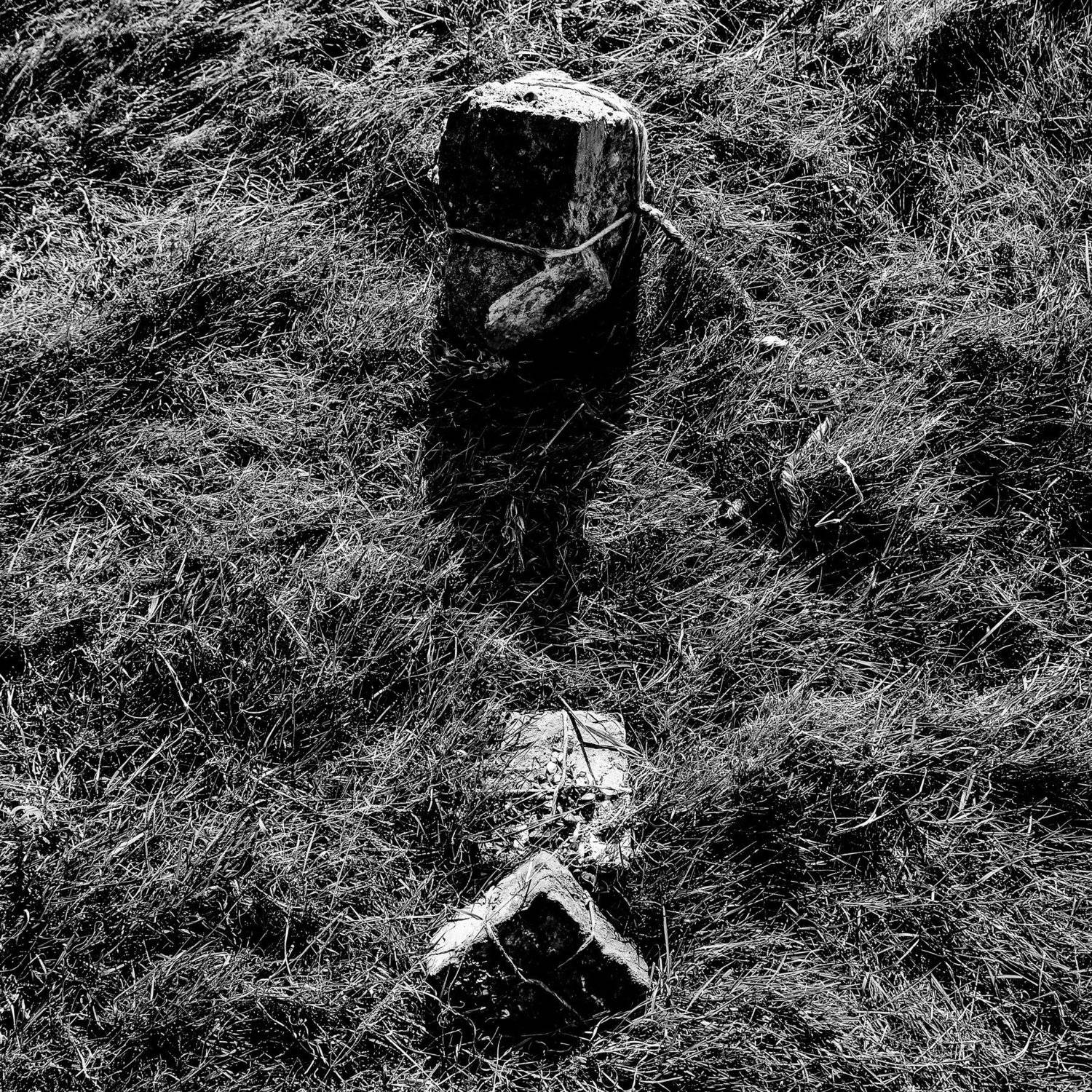 , Влад Имиров