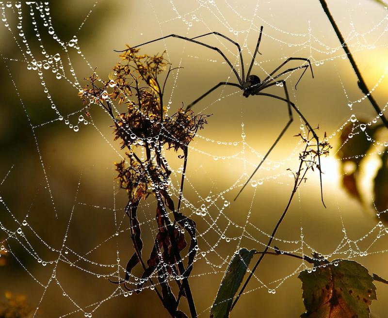 осень Осеньphoto preview