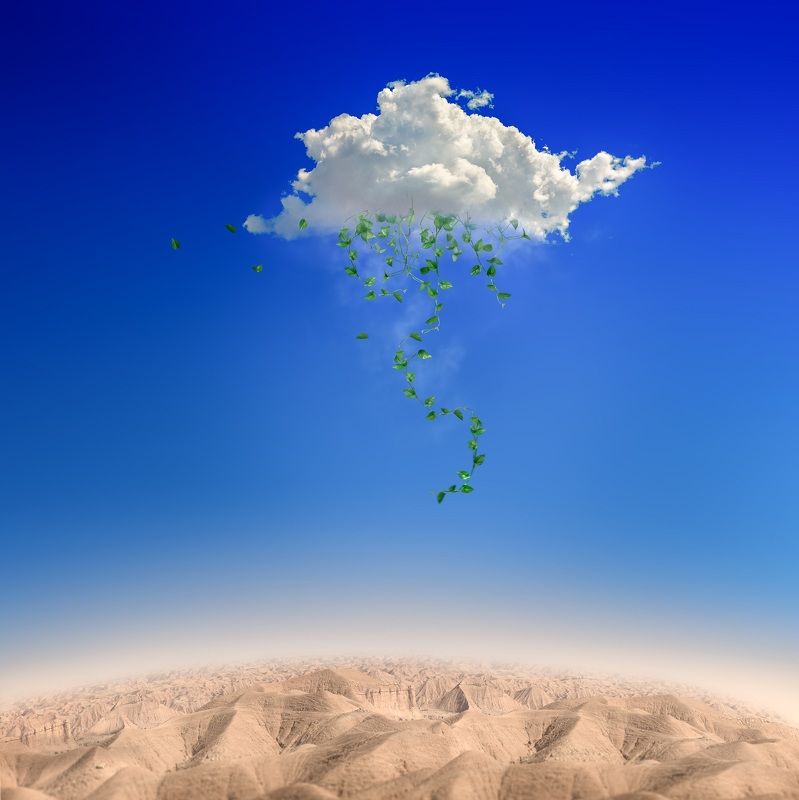 green rainphoto preview