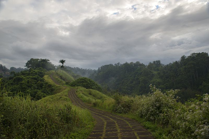 бали, индонезия, пейзаж, экзотика Тропа Художниковphoto preview