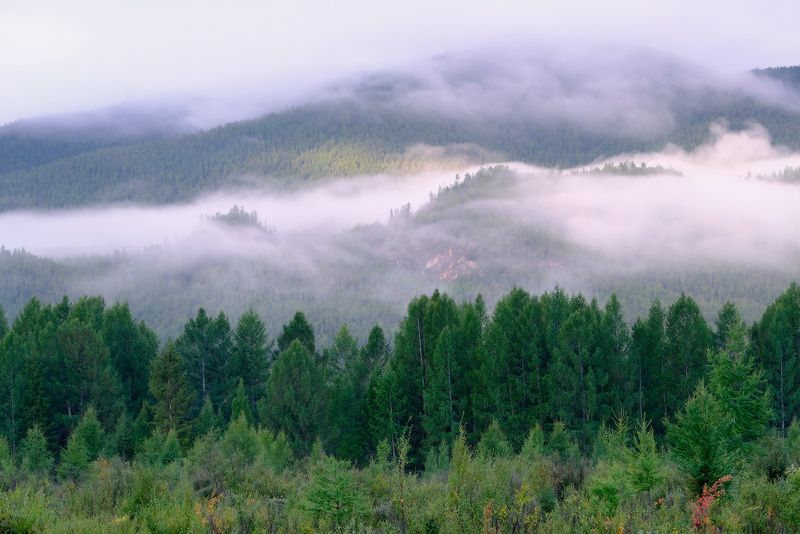 Туман над тайгойphoto preview