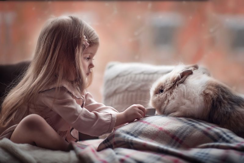 Чаепитиеphoto preview