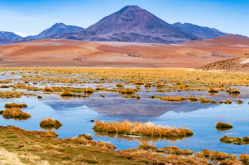 Оазис в пустыне Атакамаphoto preview