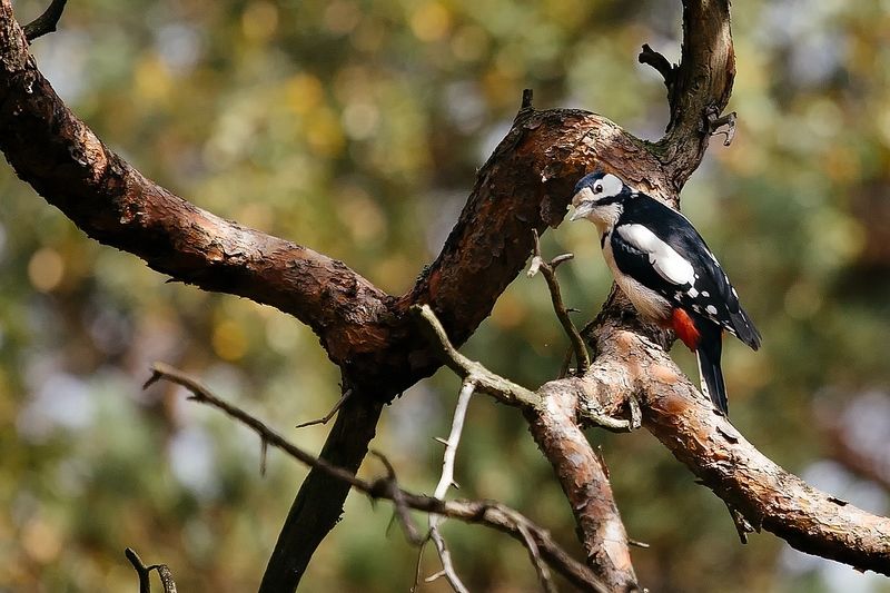 Вы кто такие? Я вас не звалphoto preview