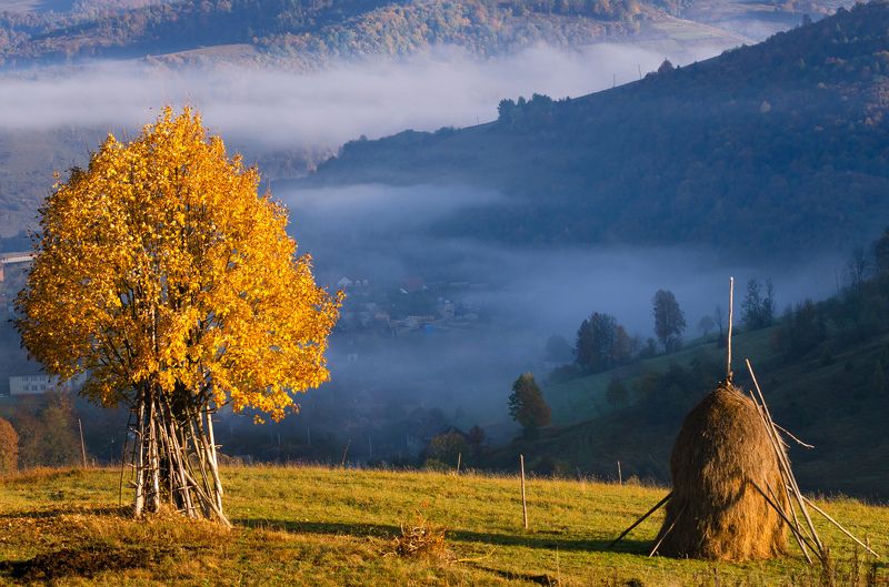 украина, карпаты, боржава Соседиphoto preview