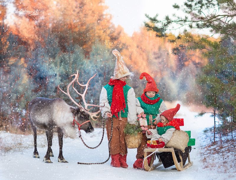 Милые помощники Деда Мороза :-) Сказка начинается! photo preview