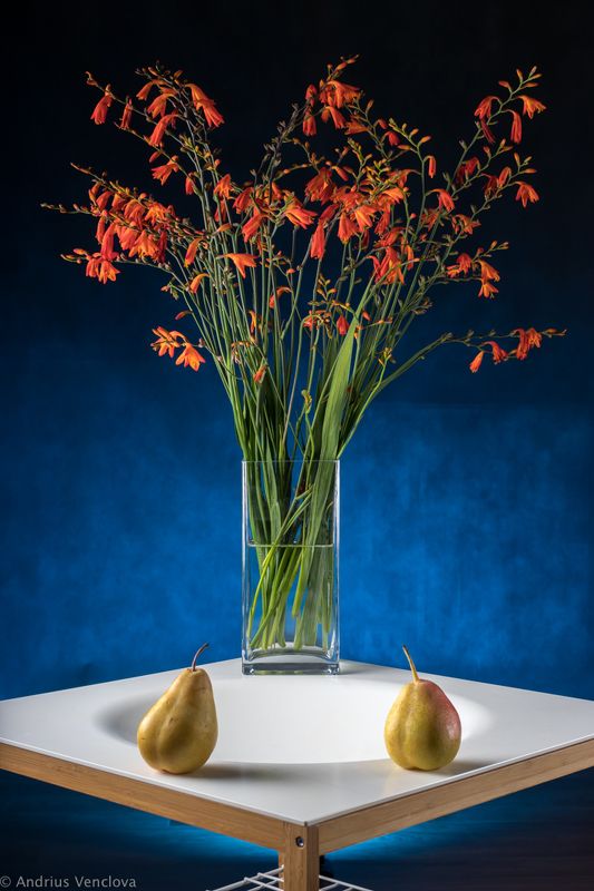 Fireworksphoto preview