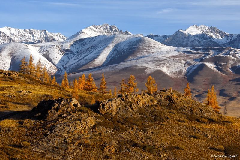 алтай, altai, осень, autumn, горы, mountains Алтайское утроphoto preview