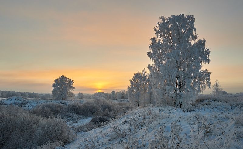 морозноphoto preview