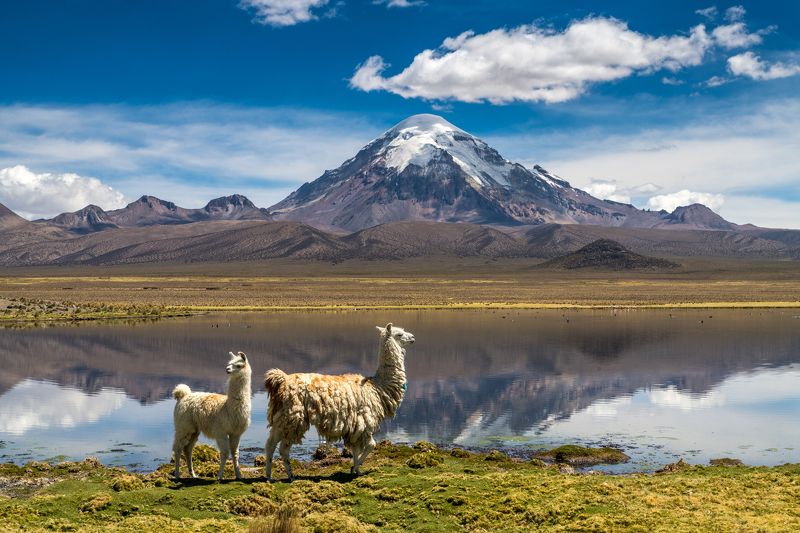 - Мама, мама, нас снимают! - не бухти и позируй красиво!photo preview