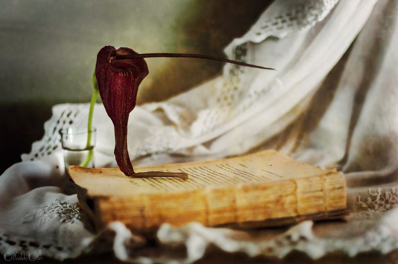 Cala negraphoto preview