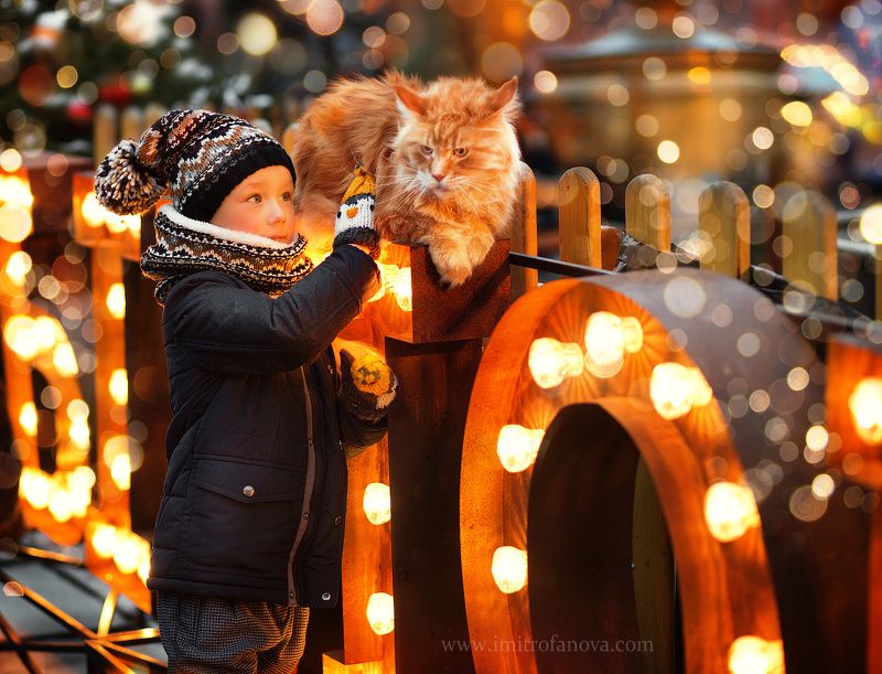 С другомphoto preview