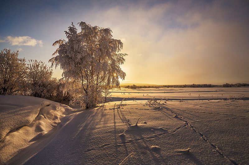 снег следы мороз Следы на снегуphoto preview