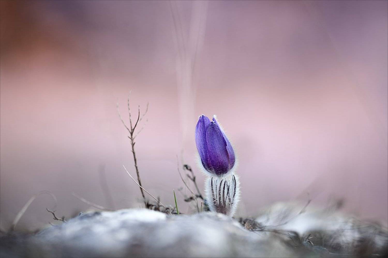 , Наталья Ова