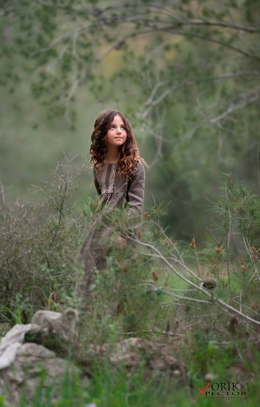 Search of a miraclephoto preview