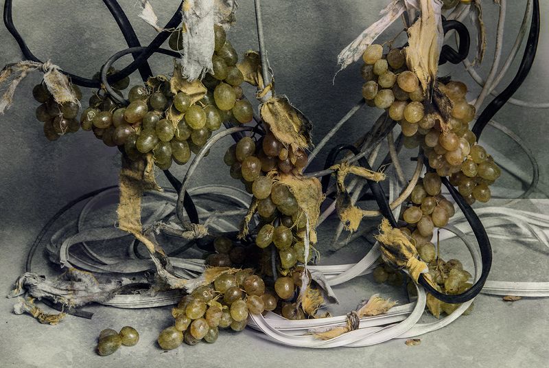 Виноградphoto preview