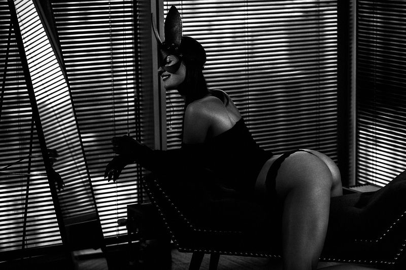 Black Bunnyphoto preview