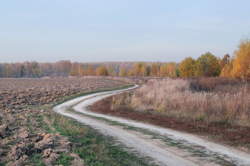 анна салтыкова, пейзаж, природа, осень, дорога, поле ***photo preview