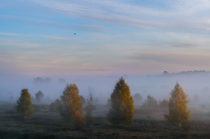 украина, полесье, черниговщина Туман отступаетphoto preview