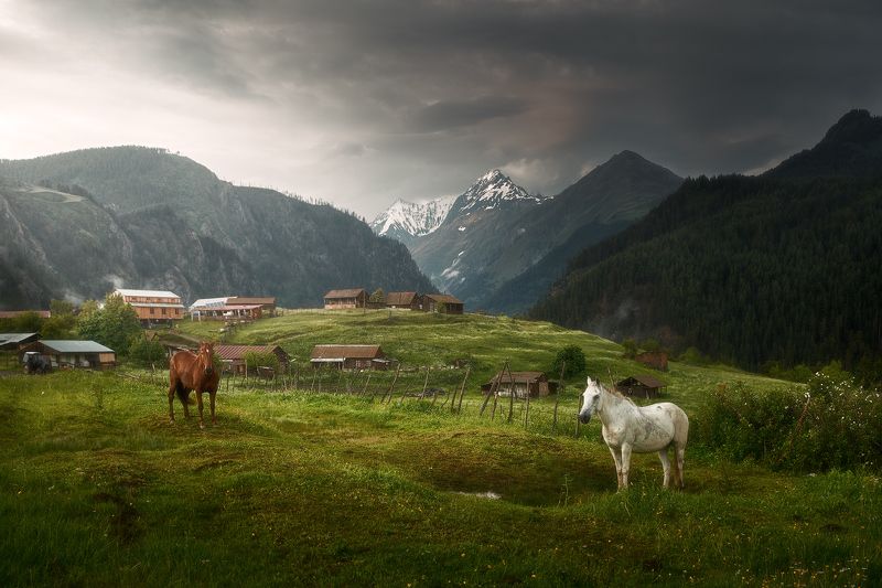 georgia, tuhetu, грузия, тушетия, лошади, Вечер в деревушке Омало.photo preview