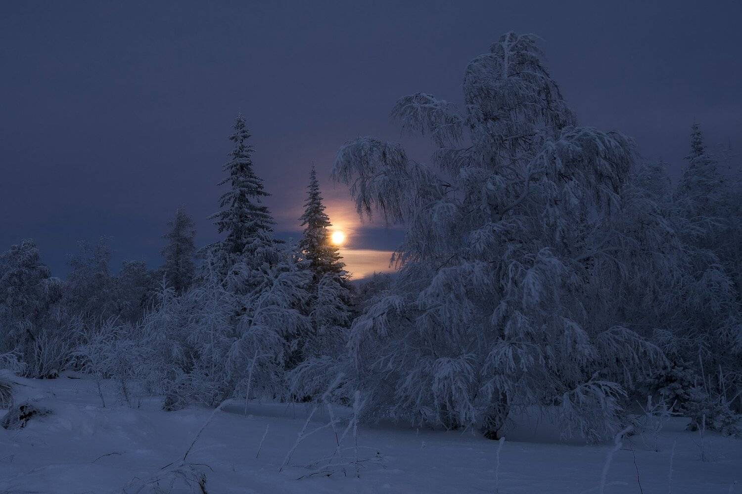 , Андрей Шарапов