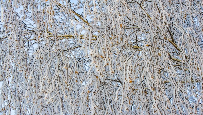 Кто говорит что новый год под пальмой это плохою  ХОЧУphoto preview